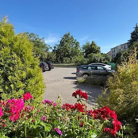 Comfortable Пьештяни