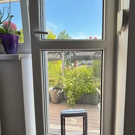 Comfortable Διαμέρισμα Πιεστάνυ